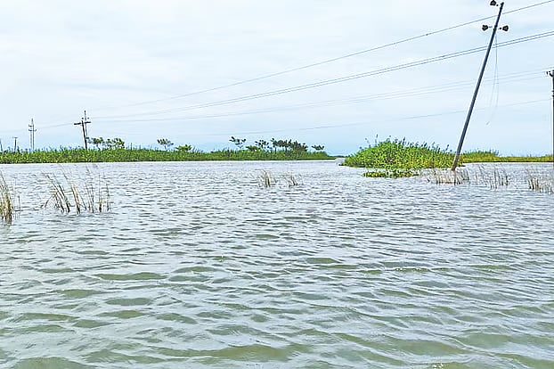 The authorities of Sunamganj University of Science and Technology want to establish a permanent campus in this part of Dekhar Haor—the second-largest haor in Sunamganj district—north of the Sylhet-Sunamganj road