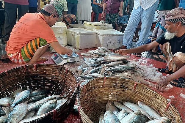 It’s peak hilsa season now. Yet, supply in the wholesale market is low and so prices have skyrocketed. Early Friday morning at the wholesale market of the Port Road fish landing centre in Barishal.