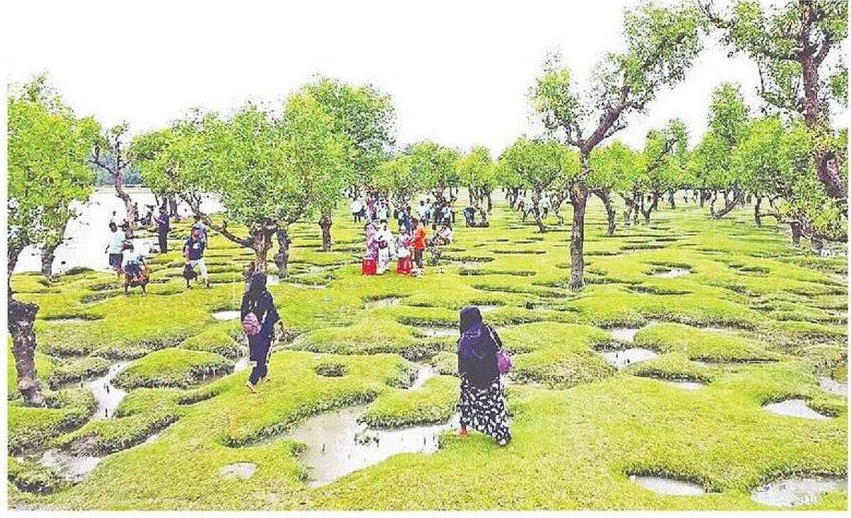 Nidra’s Char, located in Taltali Upazila of Barguna