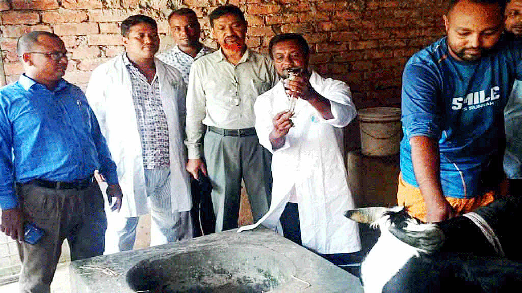 The number of confirmed anthrax infections climbed to 17, with four new individuals diagnosed with the disease in three upazilas of Rangpur.