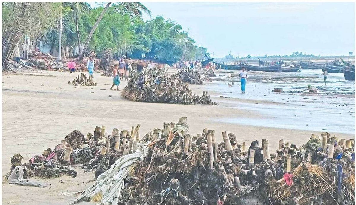 Houses swept away by the tidal wave, only bamboo stumps remain intact