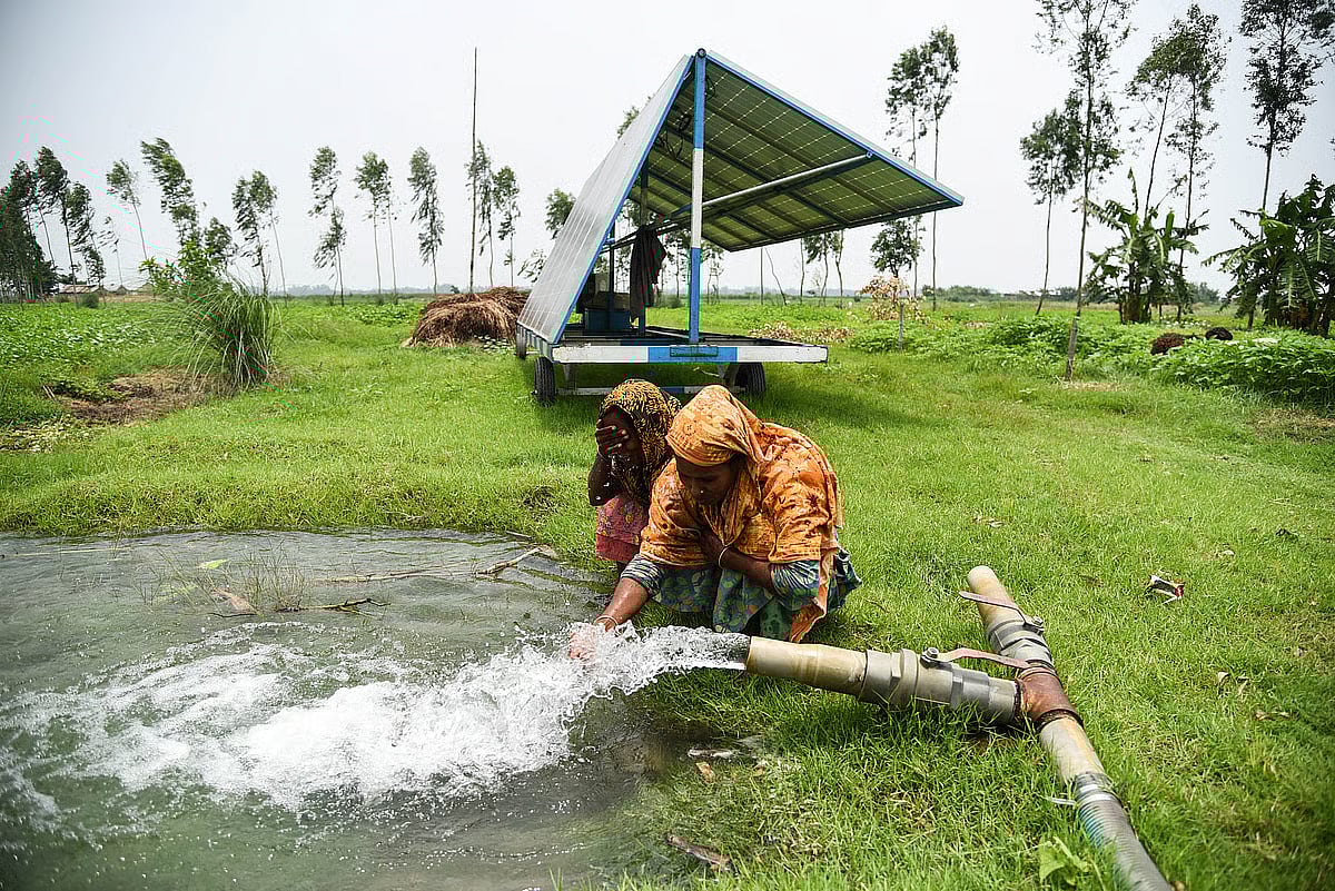 Women leading the way in using solar energy for farming: