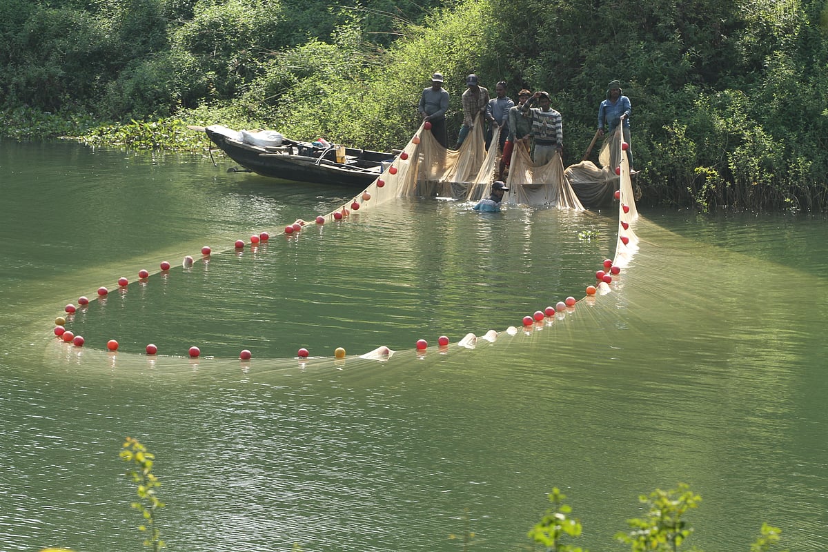 Several fishermen are casting Kachki nets to catch fish in Kaptai Lake. Katachhari, Rangamati, 30 October.
