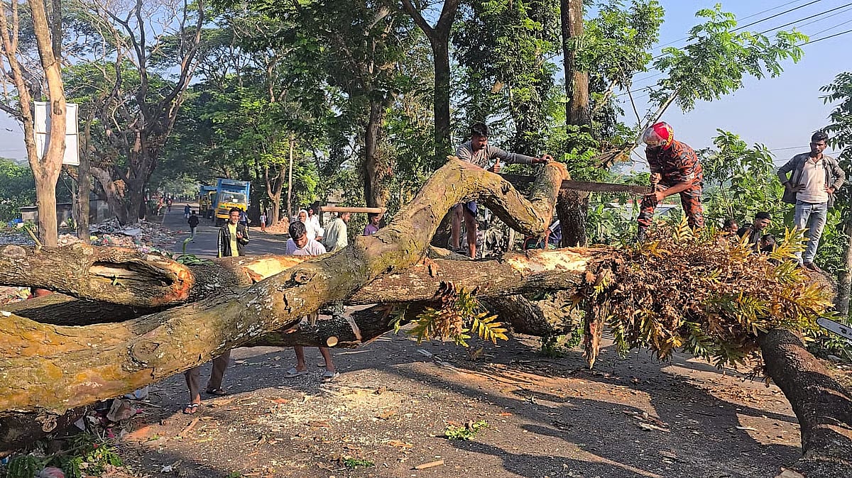 Leaders and activists of Awami League, whose activities are banned now, blocked the highway in Madaripur by felling trees early on 16 November 2025.