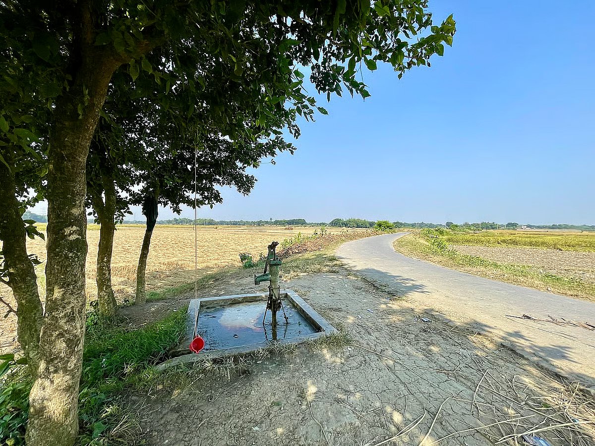 Small plastic cups hanging from a rubber rope tied to a tree near a tubewell.