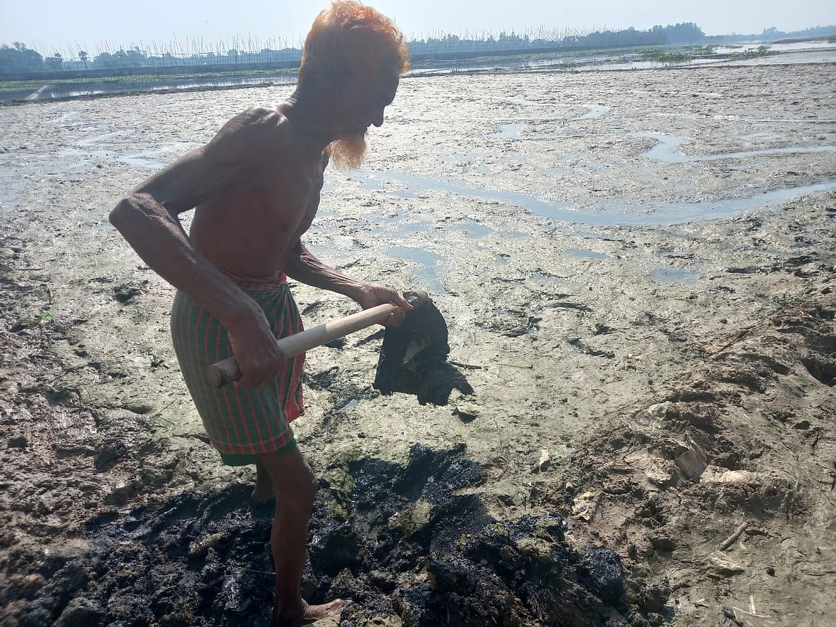This cropland at Kaltasuti mouza in Savar upazila went under water in the last rainy season. As the water receded, farmer Sattu Mia started preparing the land for cultivation. But as he started digging the land with spade, stinky black dirt comes out. The photo was taken on 20 November 2025