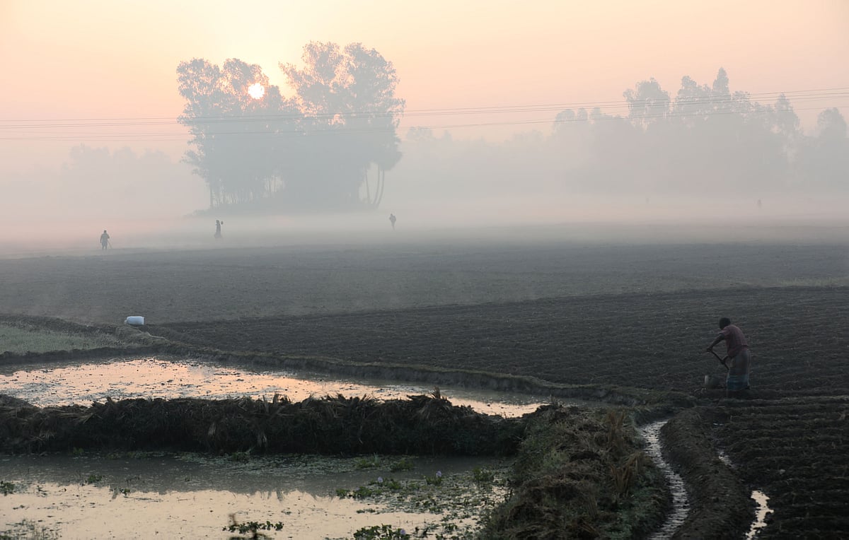A farmer busy at work in the fields on a fog-covered dawn.