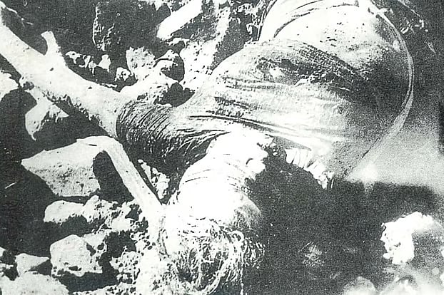 On 13 December 1971, members of Al-Badr, collaborators of the Pakistani forces, abducted journalist Selina Parvin from her residence in Siddheshwari. On 14 December, she was brutally murdered with her eyes blindfolded at the Rayerbazar killing field, along with the nation’s leading intellectuals.