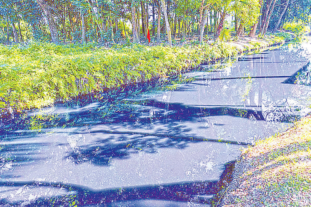 Water polluted with industrial waste and an chemicals is flowing in from Tripura in India. A canal on one side of the Brahmanbaria Akhaura Immigration Police check-post last Thursday.