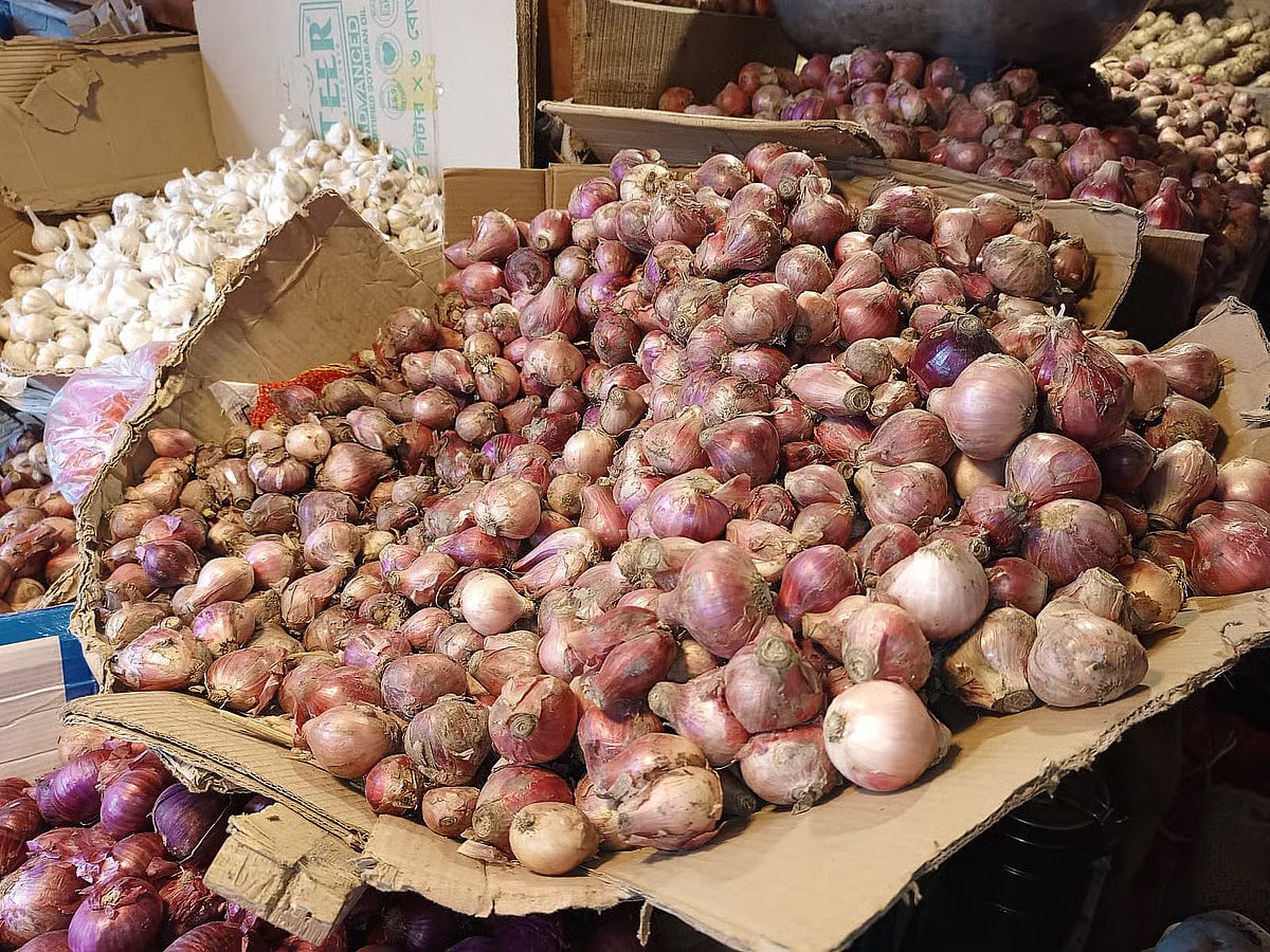 Newly harvested onions for sell at a shop at Mohammadpur Krishi Market, Dhaka on 5 January 2026