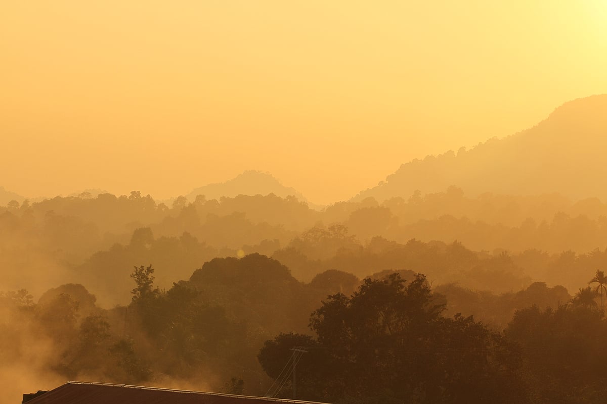 Ethereal sunlight filtered by the dense fog on a winter morning. Sapchhari Furomon Hill, Rangamati, 5 January.