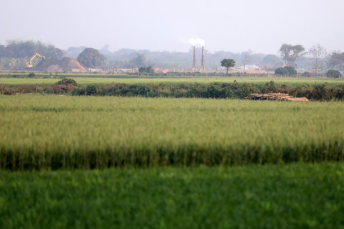 Smoke rises from the chimney of a brick kiln beside cropland in Pabna, increasing carbon emissions.