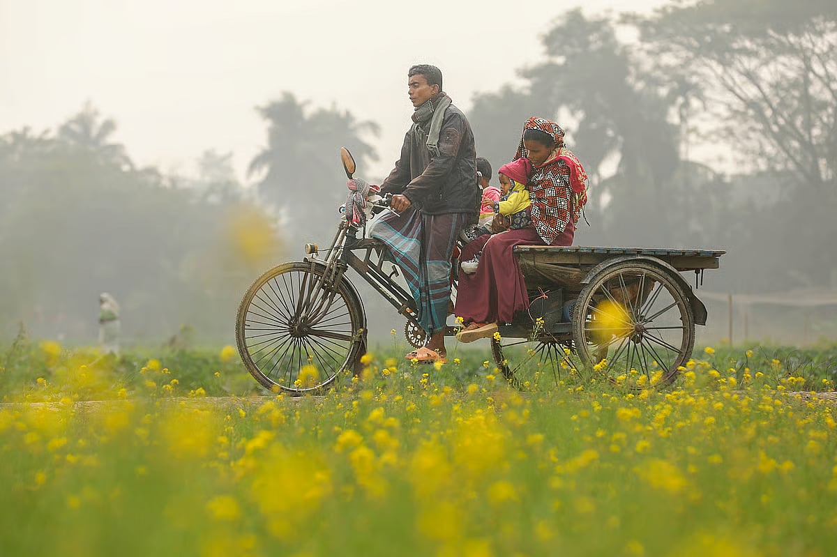 A woman along with her children travels by cycle-van along a rural dirt road beside a mustard field in Alatopol, Keshabpur, Jashore, on 10 January 2026.