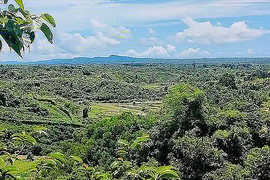 Remote hill in Bandarban