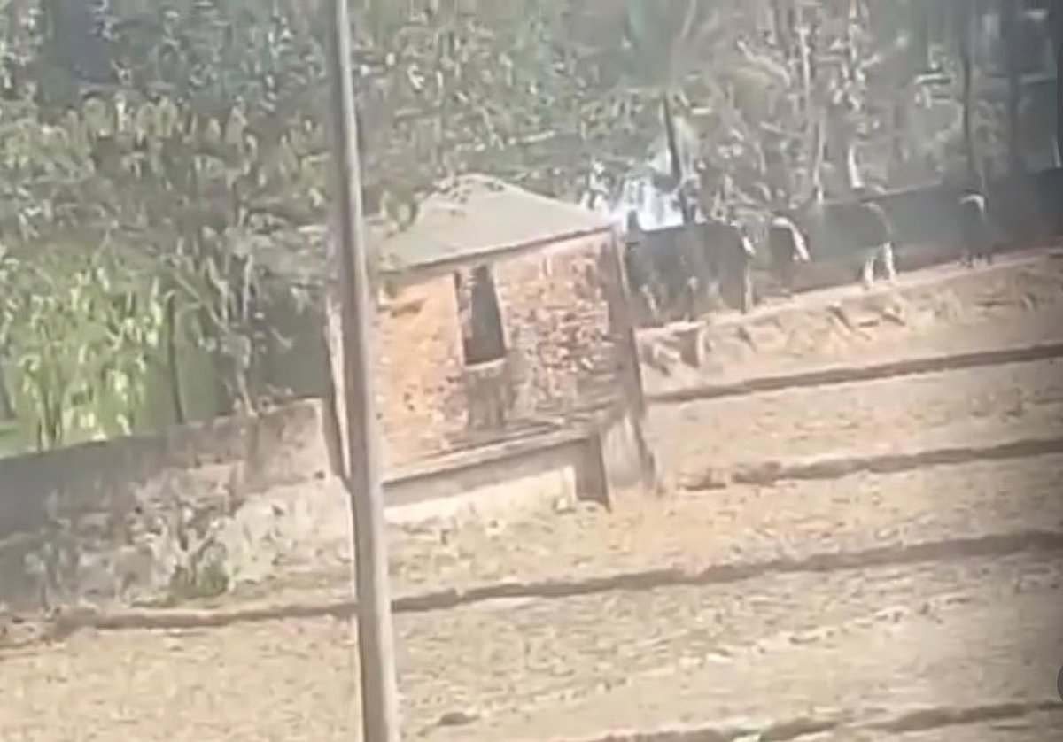 Miscreants are seen leaving the area after firing shots at the home of BNP activist in Raozan, Chttogram on 11 February 2026. 