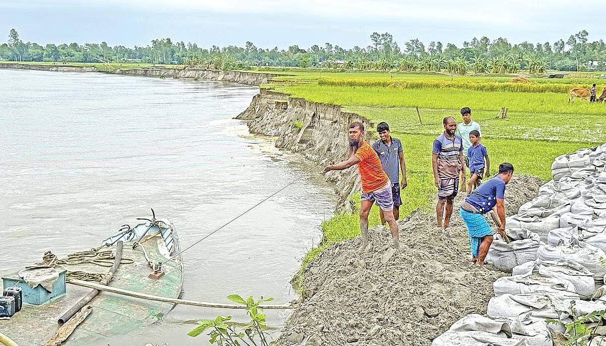 Riverbank erosion along the Jamuna is worsening in a village of Madarganj upazila. Local residents are trying to prevent the erosion by placing sandbags brought by trawlers.
