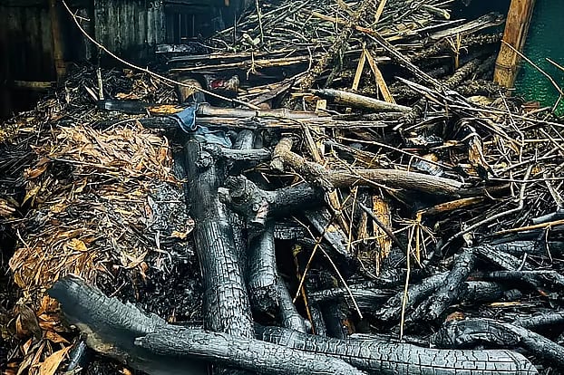 The village home of Md Saifullah, organising secretary of the Dhaka University unit of Jatiya Chhatra Shakti, the student wing of the National Citizen Party (NCP), was set on fire in Dhobaura Upazila of Mymensingh District