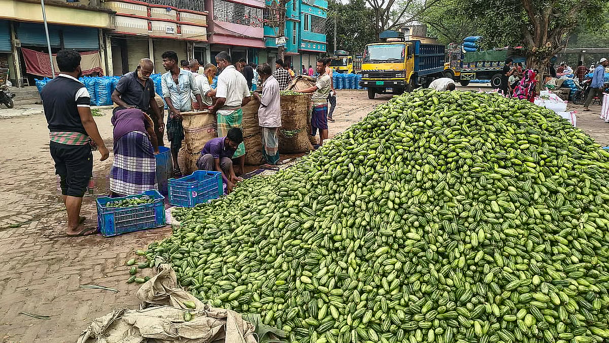 Workers busy grading and packaging vegetables at the Barinagar wholesale market in Jashore on 12 March 2026.