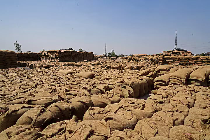 Sacks of harvested wheat are seen at a grain market in Gaggarpur village, in the northern state of Haryana, India, 25 April, 2025.