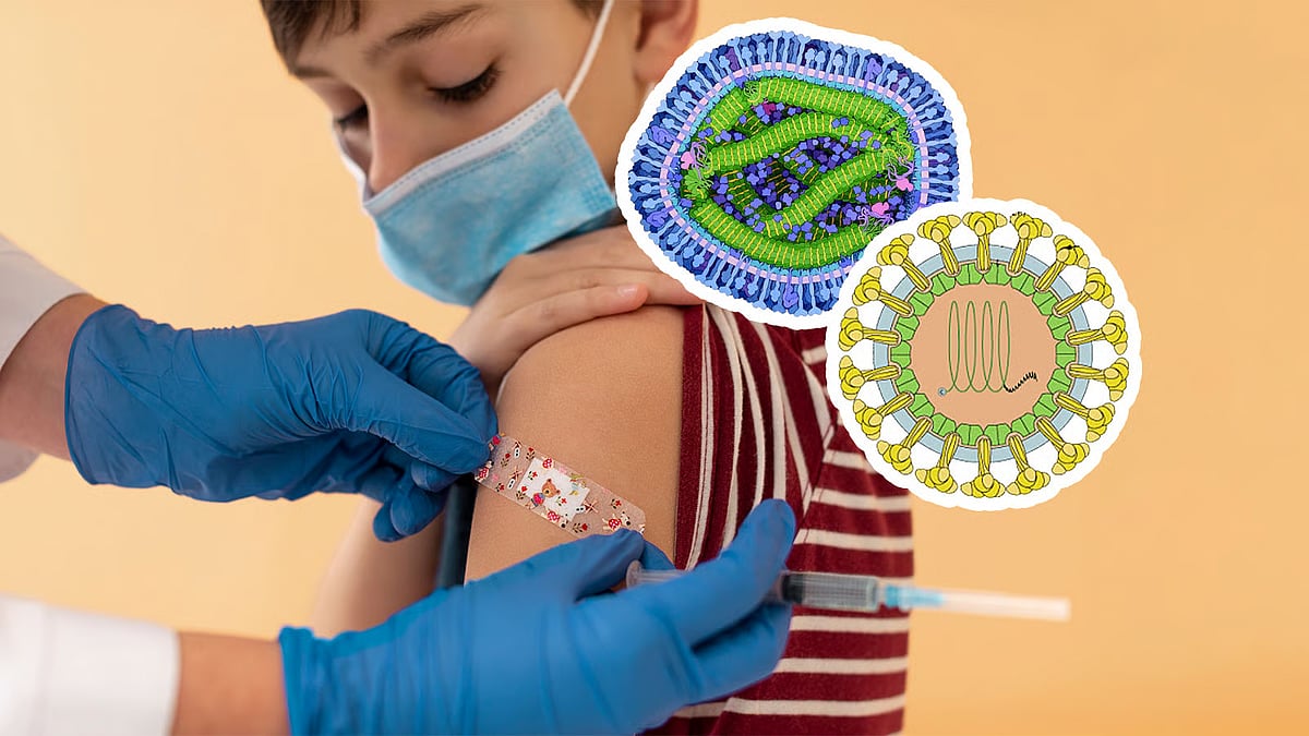 Many people think of measles and rubella as the same thing, but there are some fundamental differences between them.