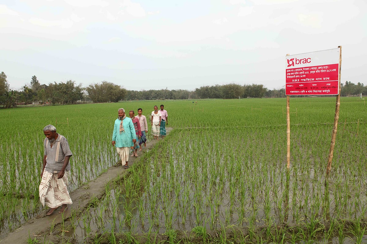 BRAC is providing direct support to strengthen livelihoods and improve productivity