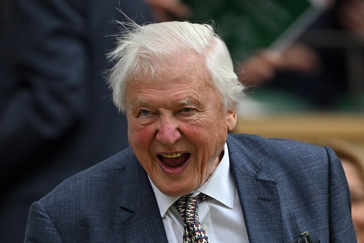 British broadcaster and biologist David Attenborough arrives on court to watch the Men's singles tennis matches on the first day of the 2024 Wimbledon Championships at The All England Lawn Tennis and Croquet Club in Wimbledon, southwest London, on 1 July, 2024. David Attenborough, a leading voice on climate change and biodiversity loss, whose landmark documentaries transformed popular understanding of the natural world for a global audience, is set to mark his 100th birthday on May 8th.
