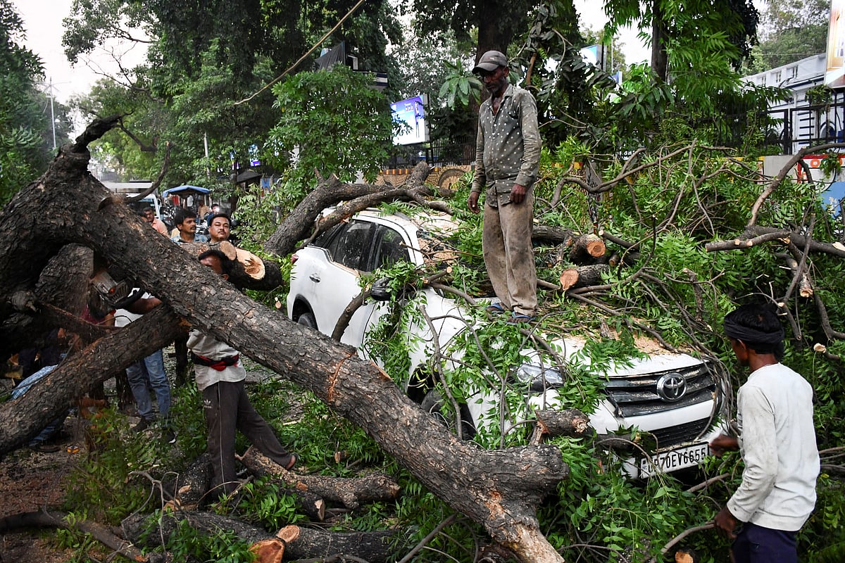 People remove a tree fallen over a car, during a heavy storm, in Prayagraj, in the northern state of Uttar Pradesh, India, 13 May, 2026.