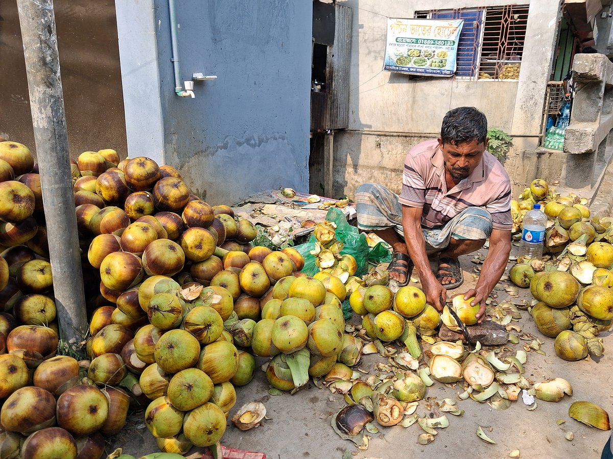 Workers cut palm fruit for the sale of palm kernels. Daudkandi, Cumilla, 24 May.