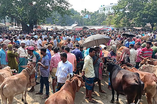 At the Sanandabari cattle market in Char Amkhawa union of Dewanganj ipazila, Jamalpur. Photo taken recently
