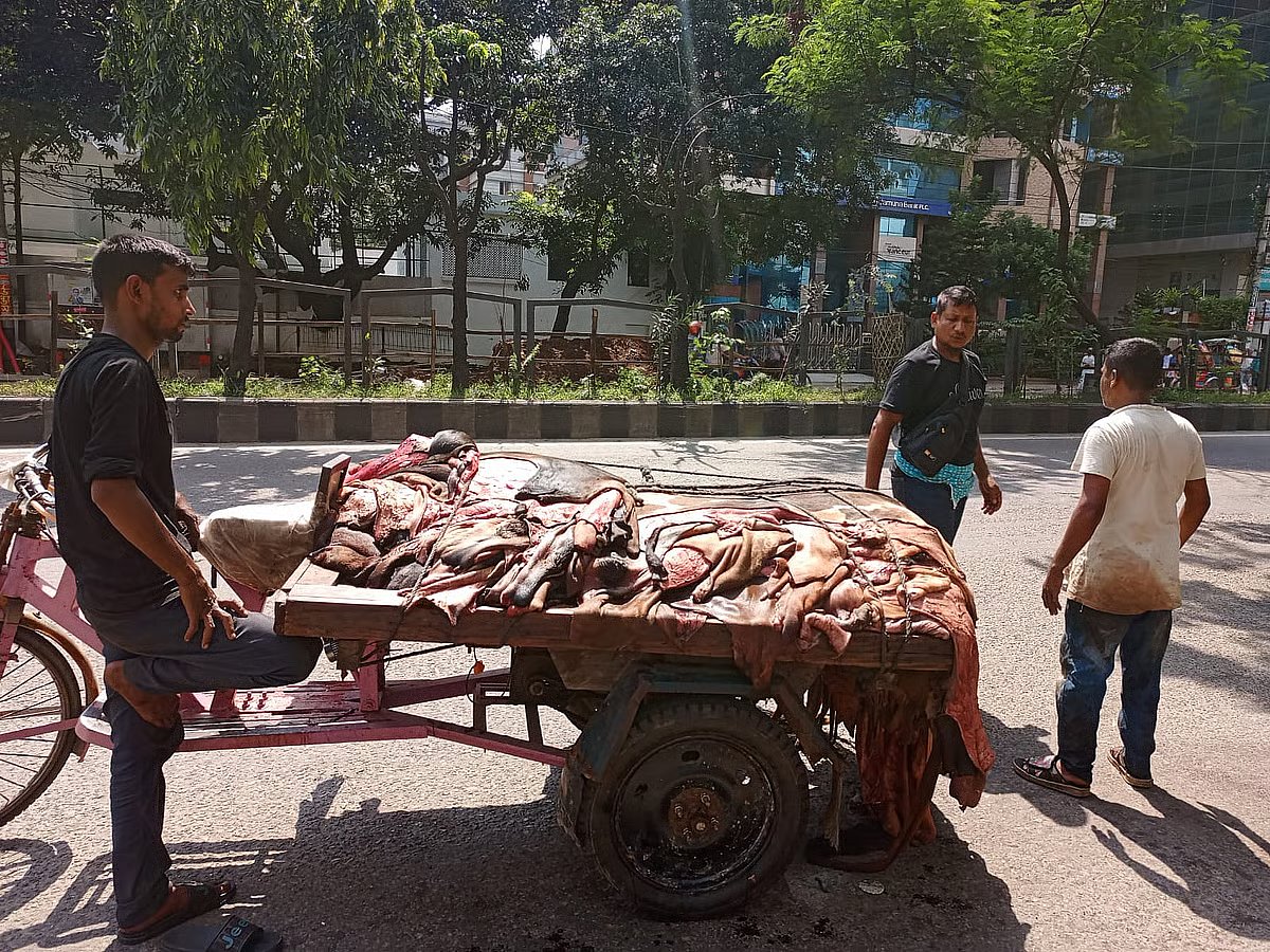 Trading of sacrificial animal hides is underway in Dhaka. The picture was taken in the Science Lab area of Dhaka at around 2:15 pm on 28 May 2026.