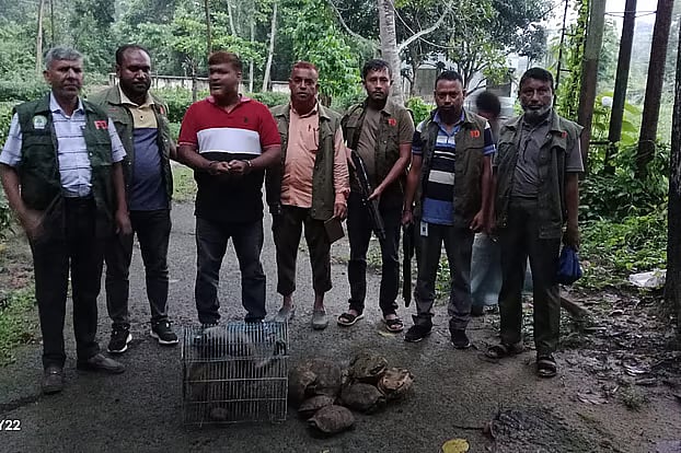 Last Monday, the Forest Department arrested Hadis Rahman along with a monkey and 12 turtles from Cox’s Bazar
