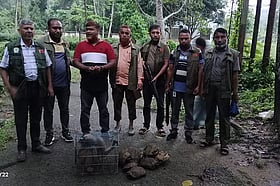 Bangladesh Identified as Transit Point in International Wildlife Trafficking Ring