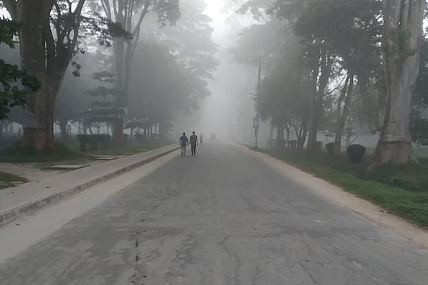 Paris Road, Rajshahi University