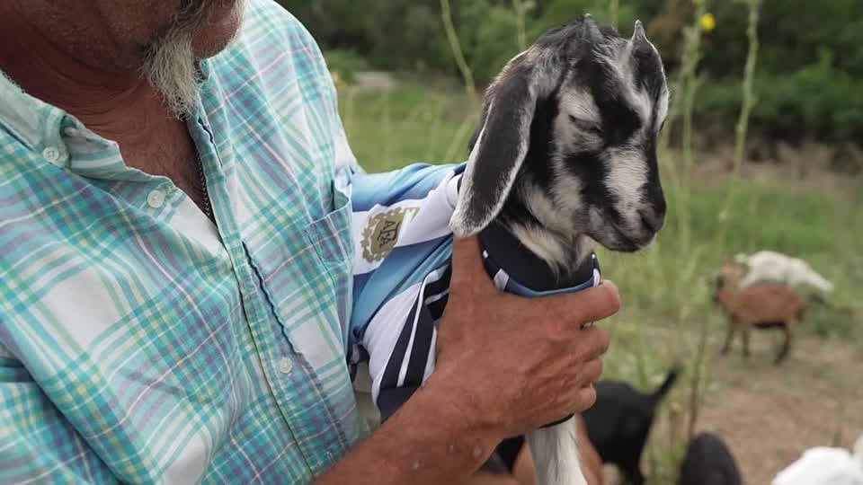 1835HO-SOCCER-WORLDCUP_ARG_MESSI_GOAT_O_