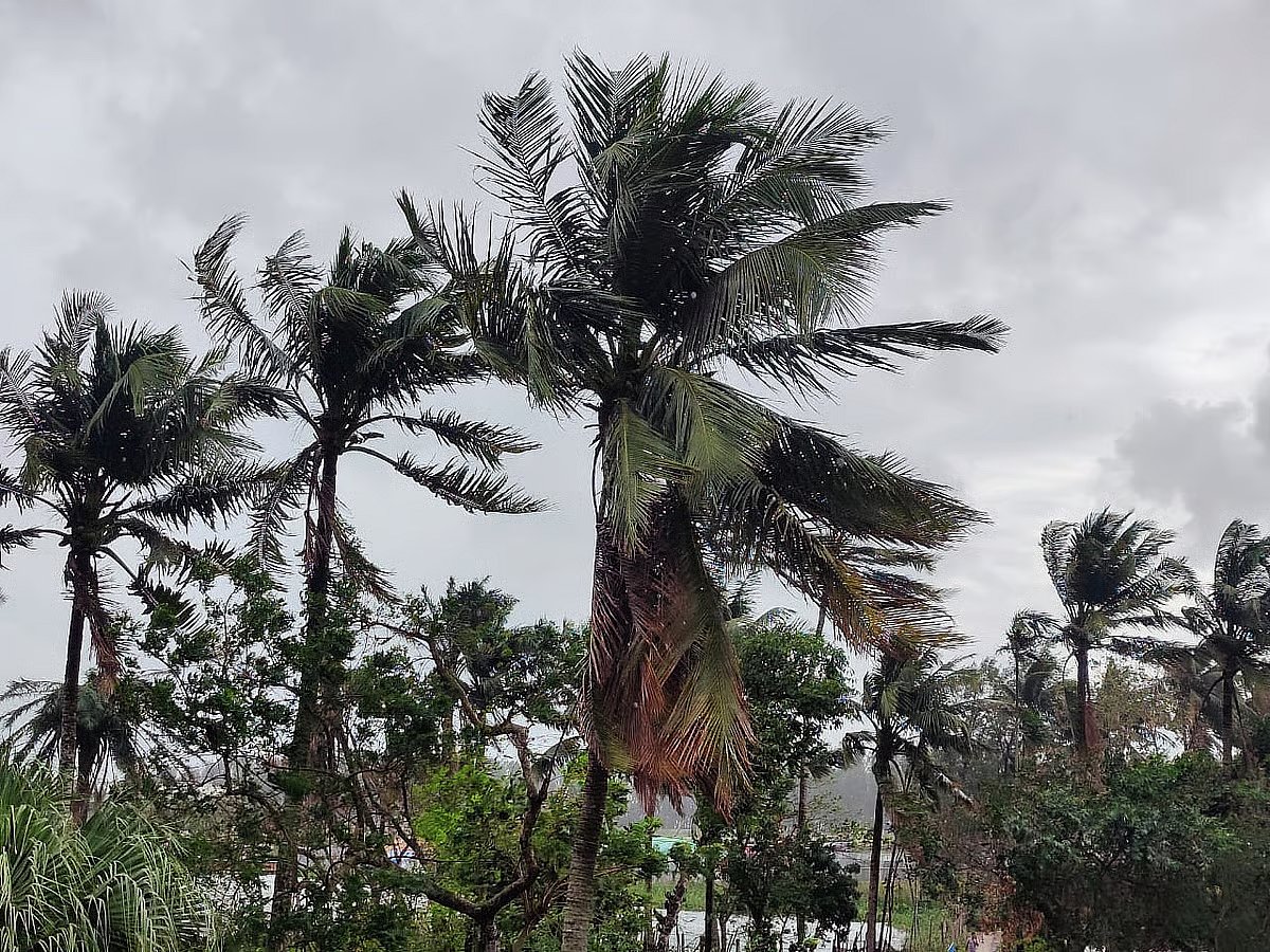 Bangladesh Meteorological Department has forecast light to moderate rain across the country in the next 24 hours