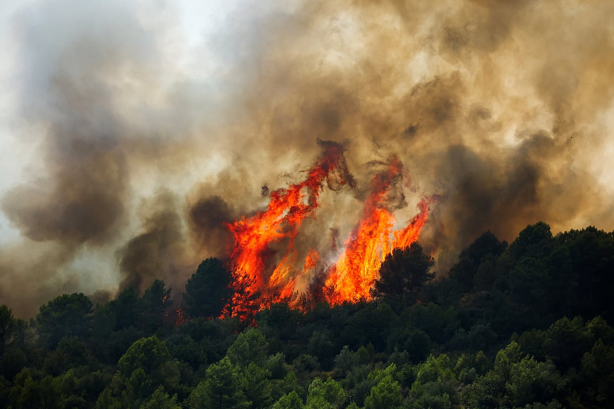 Trees burn during the wildfires in Artana, Spain, 29 July 2026.
