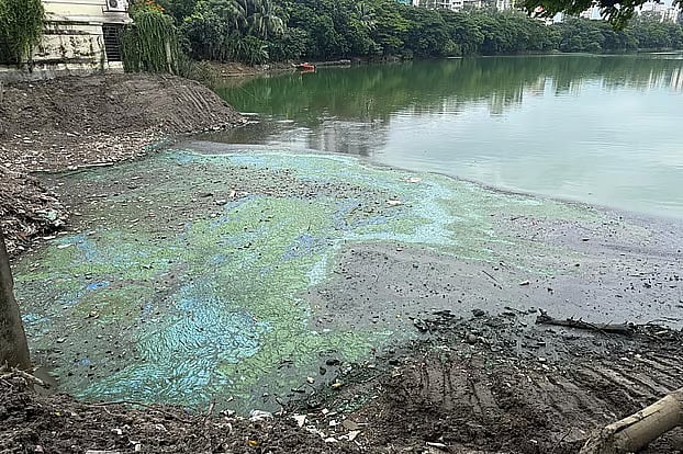 Sewage accumulated in the Kalachandpur part of Gulshan Lake. Photo taken on 26 July.