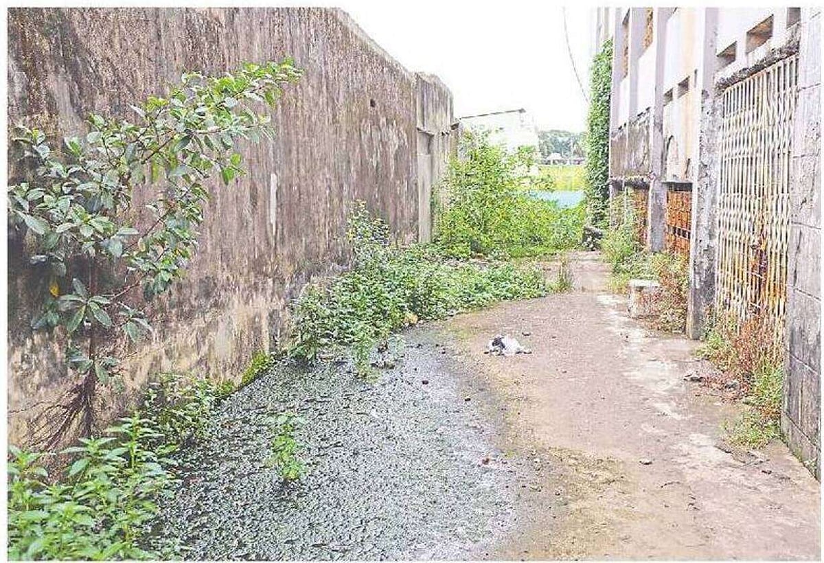 Students at Ayesha Monju Government Primary Schools in Chandgaon police station area have been attending classes at neighbouring schools for the past two to three years because their own buildings have become unsafe