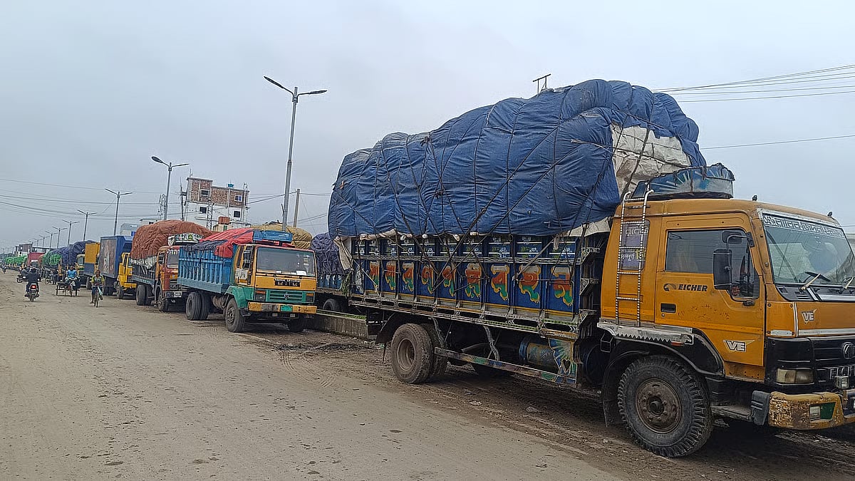 100 tonnes of green chillies imported from India, prices expected to fall