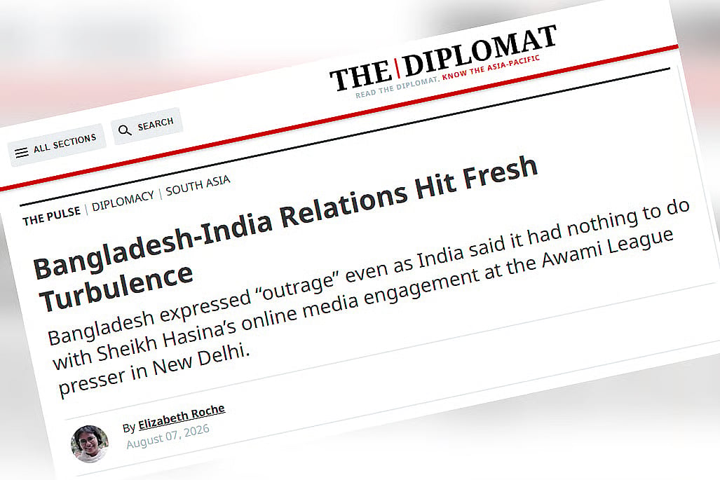 Screengrab of The Diplomat report