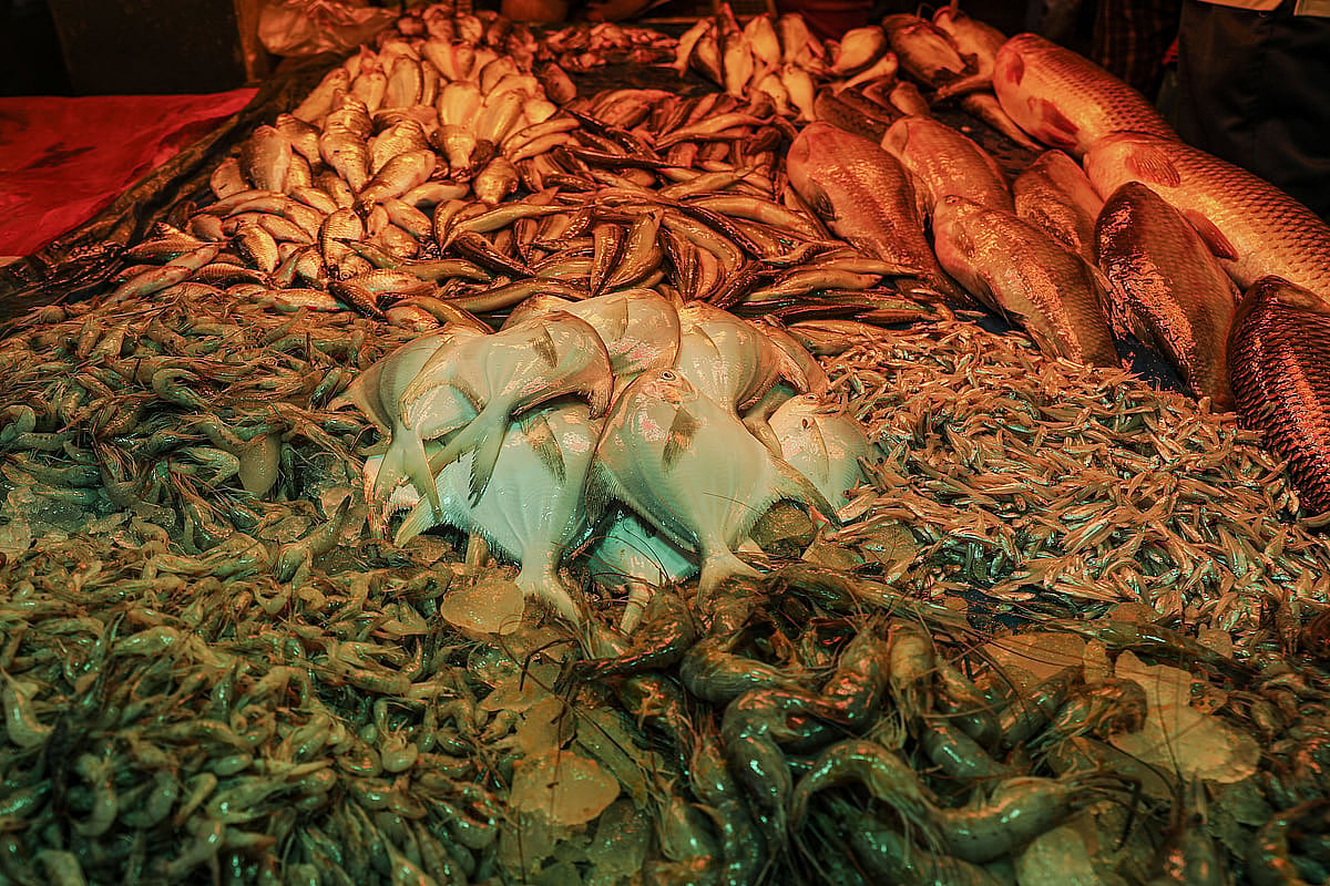 In Frames: A busy day at the fish market
