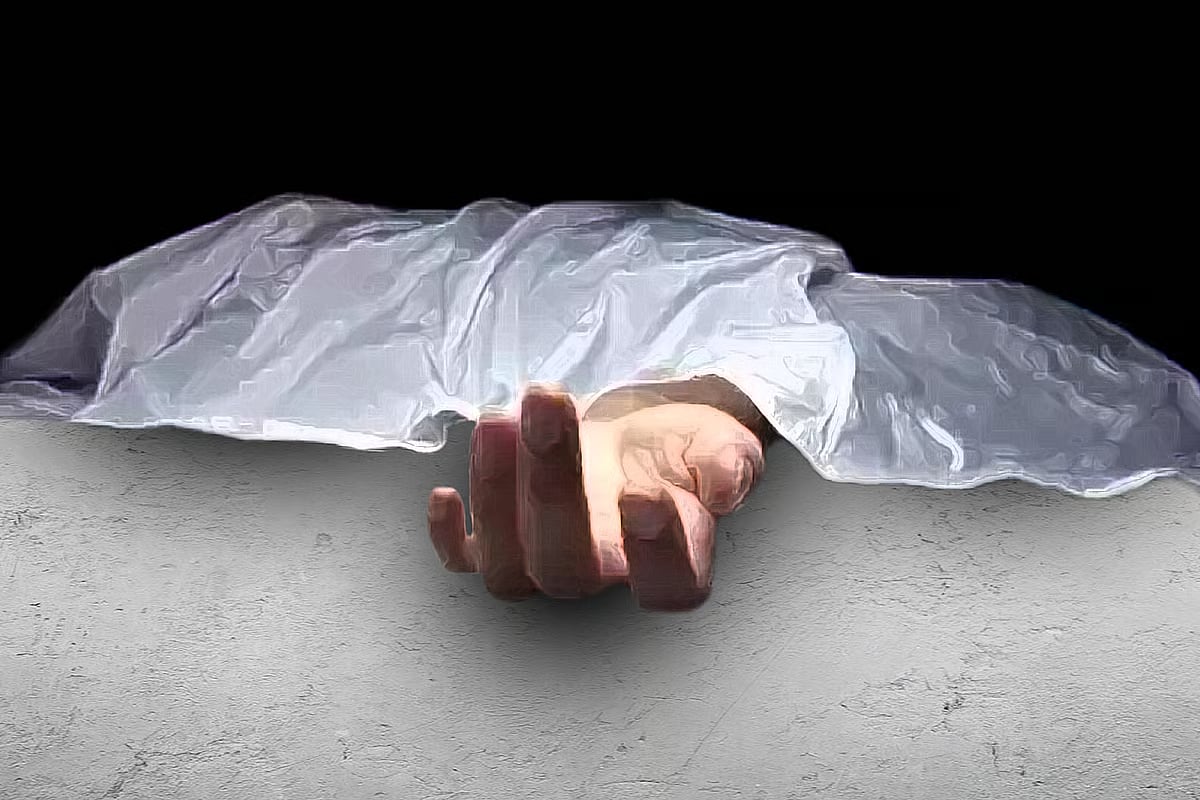 Body