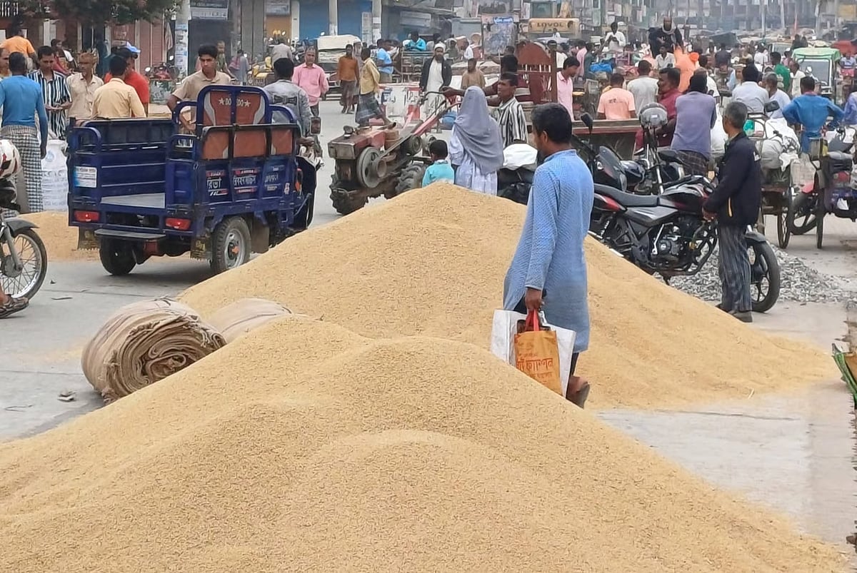 Naogaon farmers are not getting the expected prices for paddy this season. Most are incurring losses on every maund sold, while buyers remain scarce. Chhatra Haat in Niamatpur upazila, Naogaon.