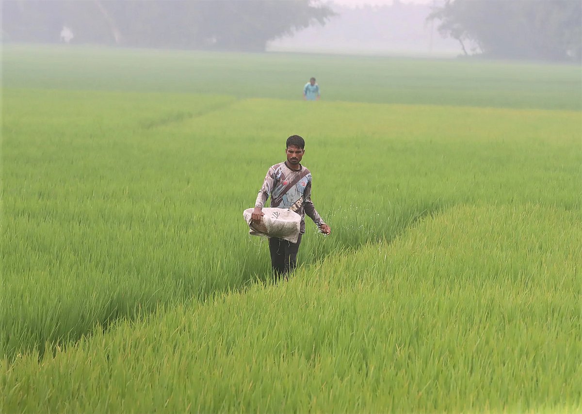 Autumn mornings feel more like late autumn, with the surroundings covered in a blanket of fog. Ratirampur, Rangpur, 7 September 2026.