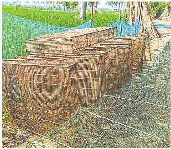 Fishermen in Chatmohar, Pabna, use this trap to catch fish