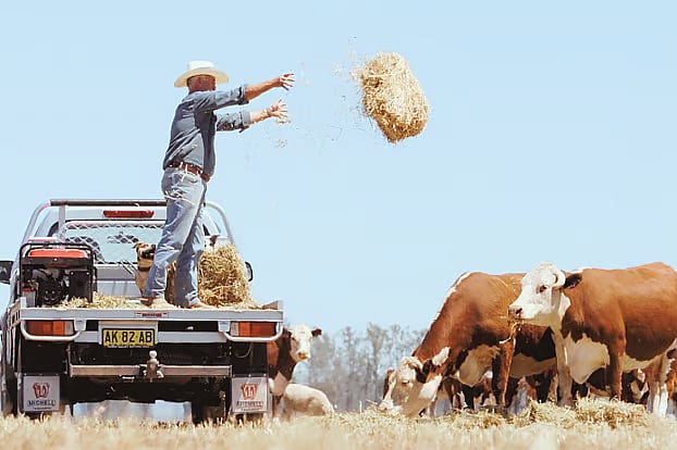 Beware a new scam involving Australia’s agricultural visa
