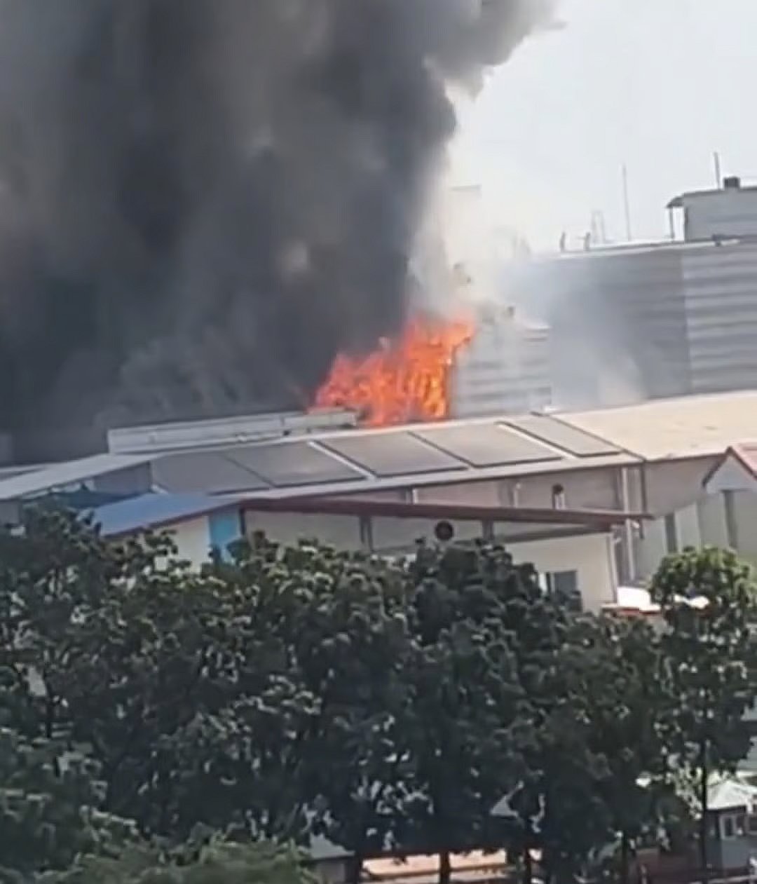 A fire broke out at a pharmaceutical manufacturing plant operated by Drug International Limited in the Cherag Ali area of Tongi, Gazipur, at around 10:15 am on 14 October 2026