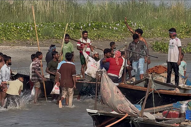 Fishermen attack a team taking part in a drive led by an MP to protect mother hilsa on the Padma River in Zajira, Shariatpur. Kalikal Char, 19 October.