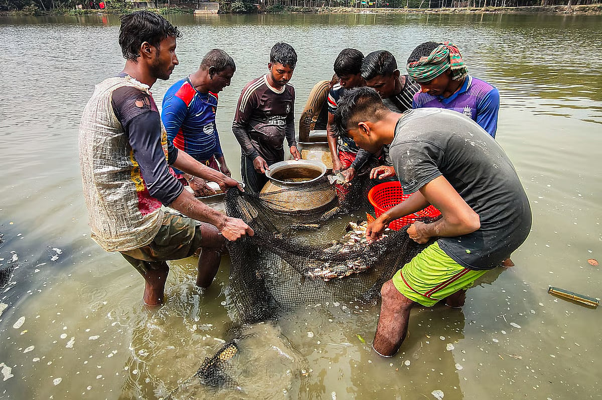 Fishermen busy fishing with dragnet at a pond at Garakhola, Fultola, Khulna