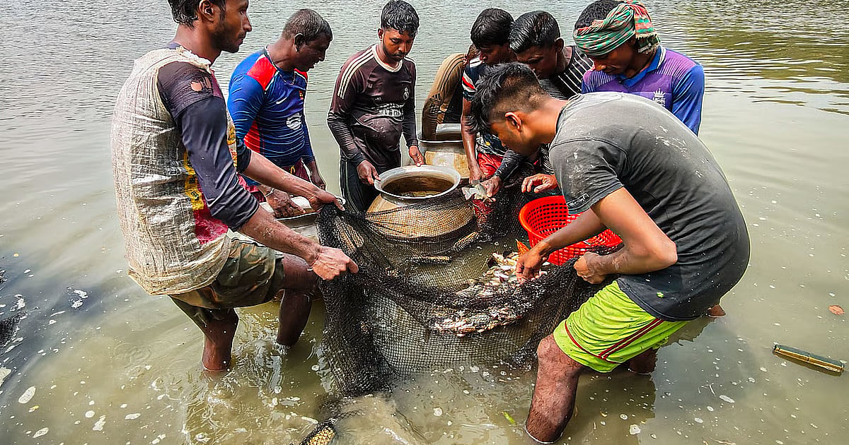 Microplastics Fish Agricultural University Research: Microplastics detected in farmed pond ...